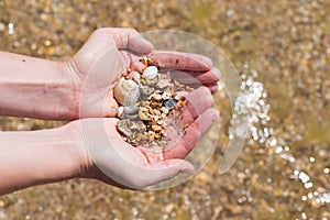 Child& x27;s hand holding shells isolated, shells in the background, beach