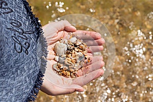 Child& x27;s hand holding shells isolated, shells in the background, beach