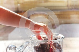 Child`s hand reaching for a piece of chocolate brownie stored in a glass cookie jar