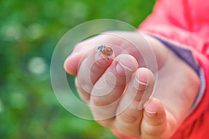 A child`s hand in a red jacket holds a ladybug on its fingers. An insect with red wings and black dots. Soft selective selective