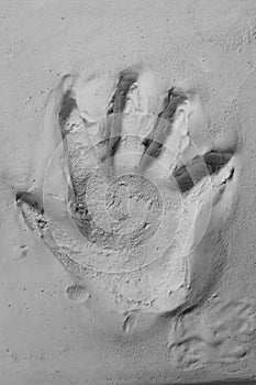 Child's handprint in sandy smooth white plaster