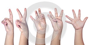 Child`s hands counting from one to five