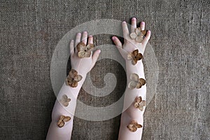 Child`s hands with dried hydrangea flowers on burlap background. Feeling nature, sustainable living, natural care, organic