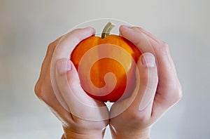 A child`s hands holding a miniature pumpkin