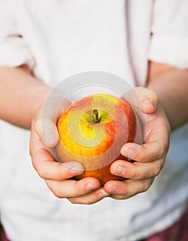 Child's hands holding ripe red apple