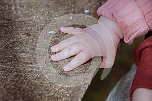 Child's hands on a wooden table background