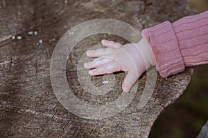 Child\'s hands on a wooden table background