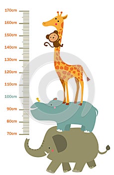 The child`s height illustrations