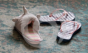 Child`s slops and a slipper isolated photo