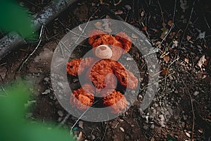A child\'s teddy bear lost in the depths of the woods