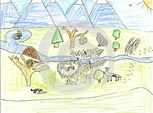 Child's wildlife drawing