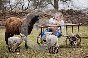 Child and sheeps