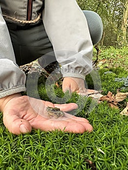 Child shows gesture of holding small frog in hand on grassland