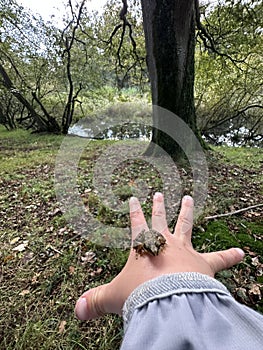 Child shows gesture of holding small frog in hand on grassland