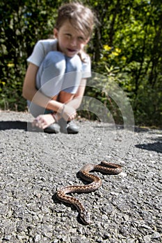 Child siting close of poison snake