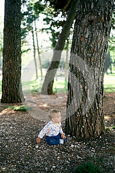 Child sits on the ground near a large tree in the park