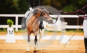 A child is sitting astride a saddle on a piebald pony, which is led by a horse breeder along a sandy arena at equestrian