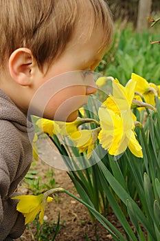 Child smelling flowers