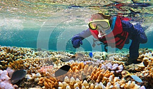 Child snorkeling in Great Barrier Reef Queensland Australia