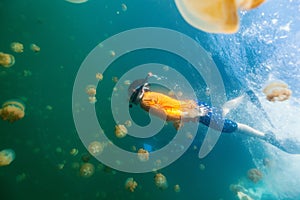 Child snorkeling in Jellyfish Lake