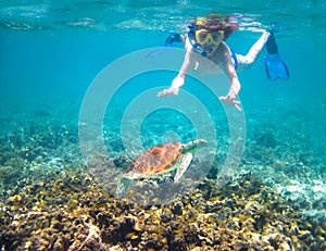 Child snorkeling in a tropical sea next to a turtle