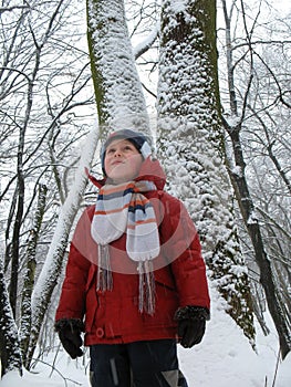 Child in snowbound forest