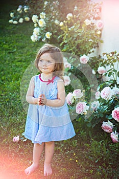 Child standing barefoot at blossoming rose flowers on green grass