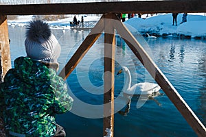 The child is standing on the lake and looking at the white swan