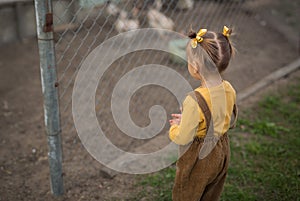 The child stands at the aviary with chickens.