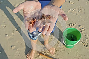 Child with starfish on beach