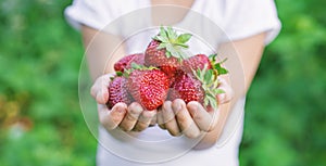 A child with strawberries in the hands. Selective focus