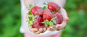 A child with strawberries in the hands. Selective focus.