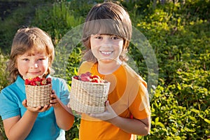 Child with strawberries sunny garden with a summer day