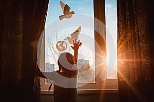 child stretches his hands sunlight outside window flying dove world with branch forces globe. concept peace world, no