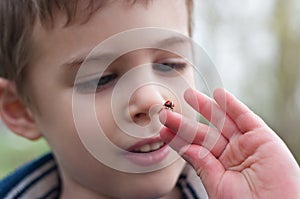 Child studies the ladybug