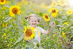 Child in sunflower field. Kids with sunflowers.