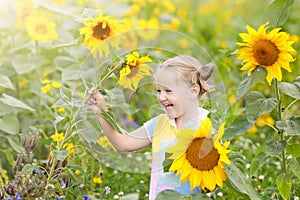 Child in sunflower field. Kids with sunflowers.