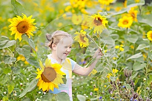 Child in sunflower field. Kids with sunflowers.