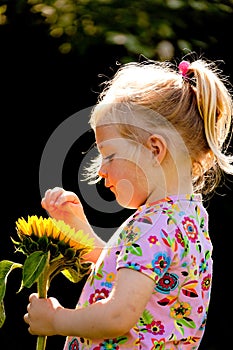 Child with sunflowers in the garden in summer