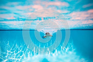 Child swim and dive underwater in the swimming pool. Active healthy lifestyle, swim water sport activity on summer