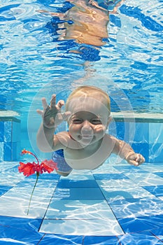 Child swimming underwater for a red flower in the pool