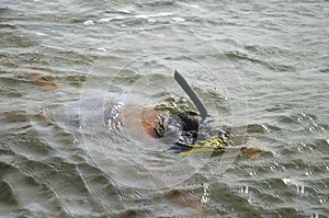 A child swims under water in a mask and a snorkel for the driver