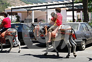 Donkey rides, Mijas, Spain.