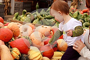 Child Touch Pumpkin Gourd