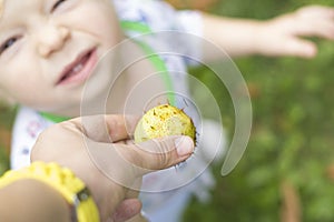 A child touches a prickly chestnut and grimaces