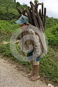 Child transports firewood, Laos