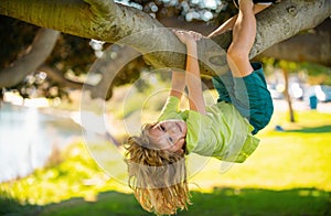 Child on a tree branch. Child climbing in adventure activity park. Insurance kids. Little boy kid facing challenge