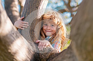 Child on a tree branch. Child climbing in adventure activity park. Insurance kids. Little boy kid facing challenge