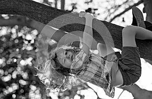 Child on a tree branch. Child climbing in adventure activity park. Insurance kids. Little boy kid facing challenge