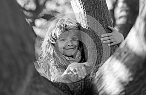 Child on a tree branch. Child climbing in adventure activity park. Insurance kids. Little boy kid facing challenge